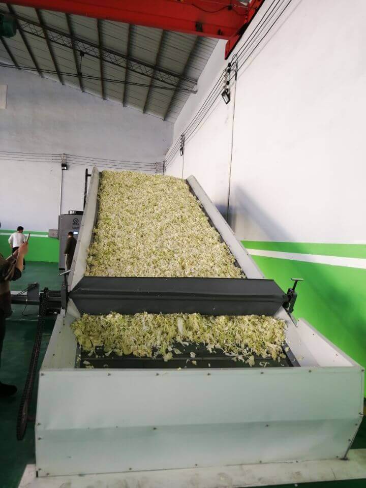 Cabbage drying scene,Cabbage Drying Machine,Cabbage Dryer-Henan Baixin ...