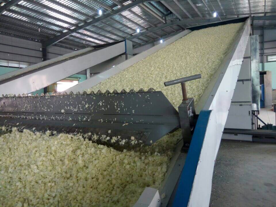 Garlic Drying Machine - Baixin