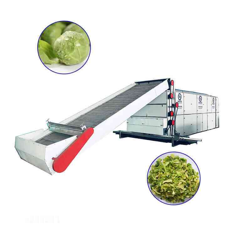 Fruit Drying Machine - Baixin