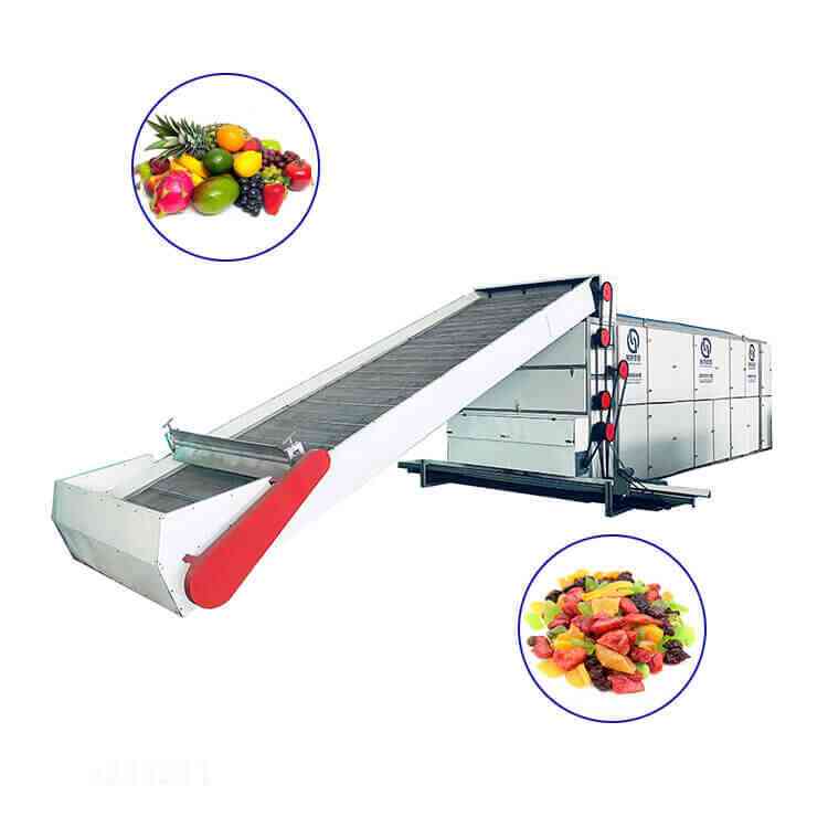 https://www.bxdryer.com/d/images/Continuous%20Mesh%20belt%20dryer/fruit%20dryer.jpg