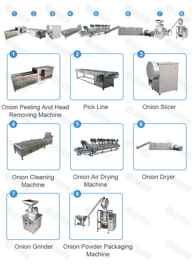 Onion Processing Equipment