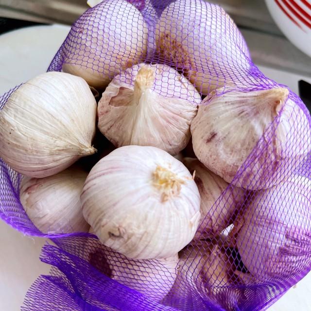 Raw Garlic Dehydrator Machine