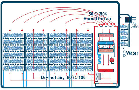 Fruit and vegetable freezing dryer machine_Henan Baixin Machinery