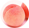 peach drying machine