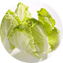 cabbage drying machine
